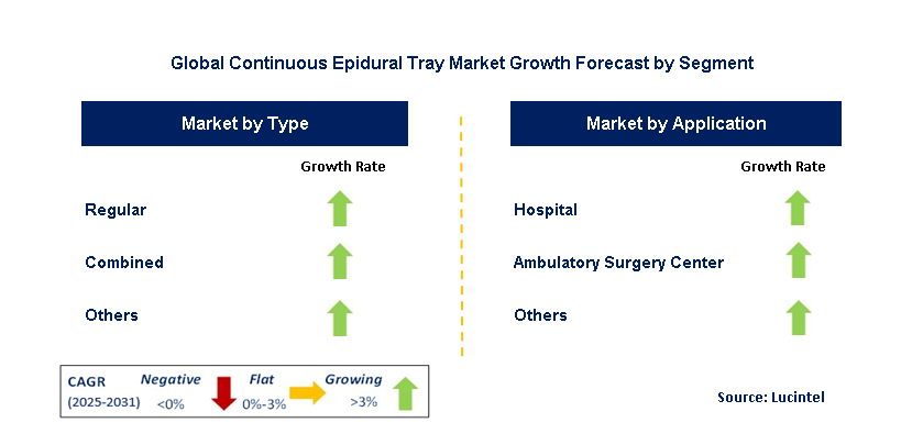 Continuous Epidural Tray Market by Segment